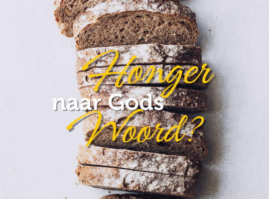 Rafaël Nederland biedt nieuwe onderwijsvorm aan